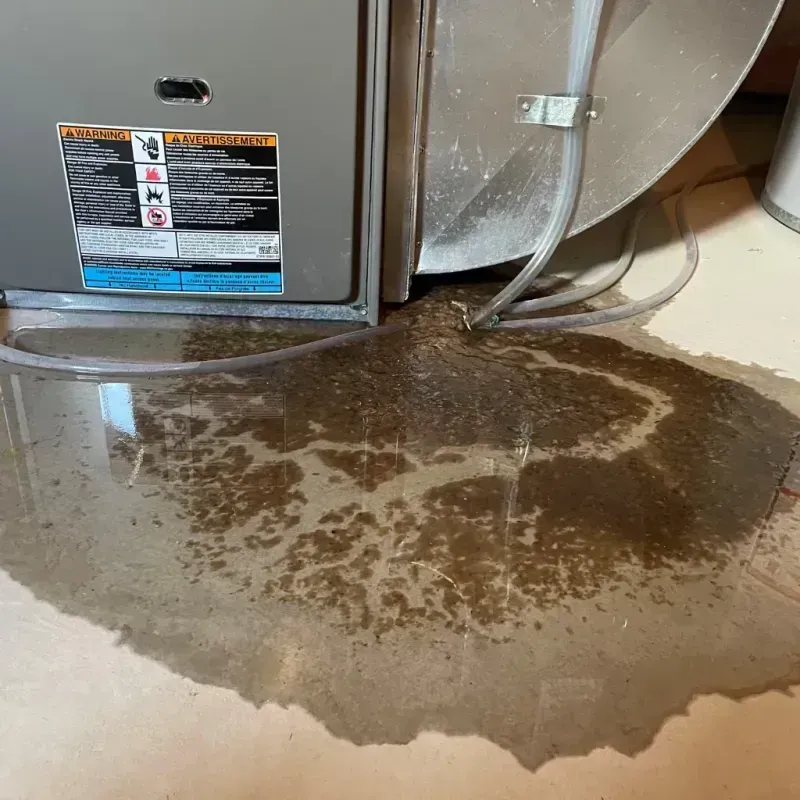 Appliance Leak Cleanup in Leesburg, OH